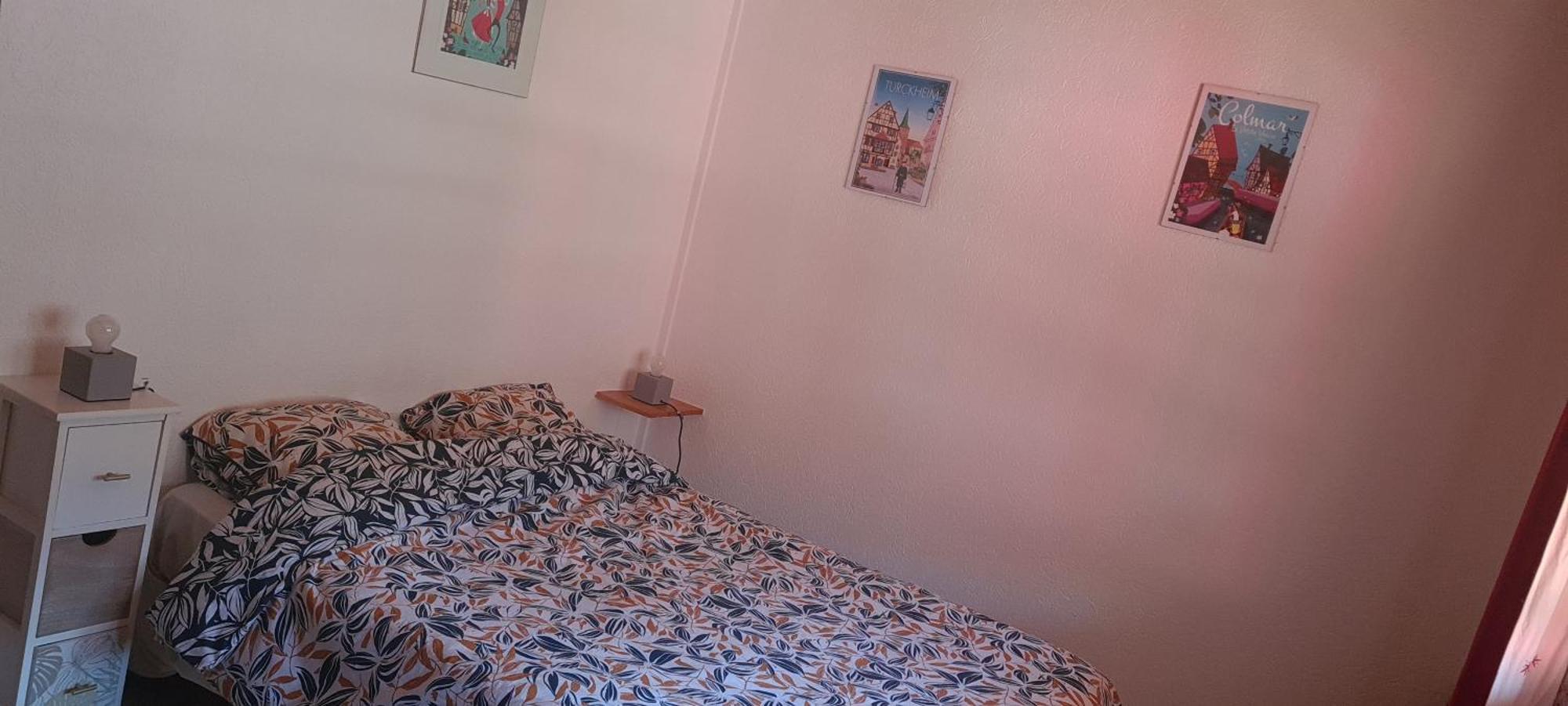 Gite Et Chambres D'Hotes Les Framboises Katzenthal ภายนอก รูปภาพ