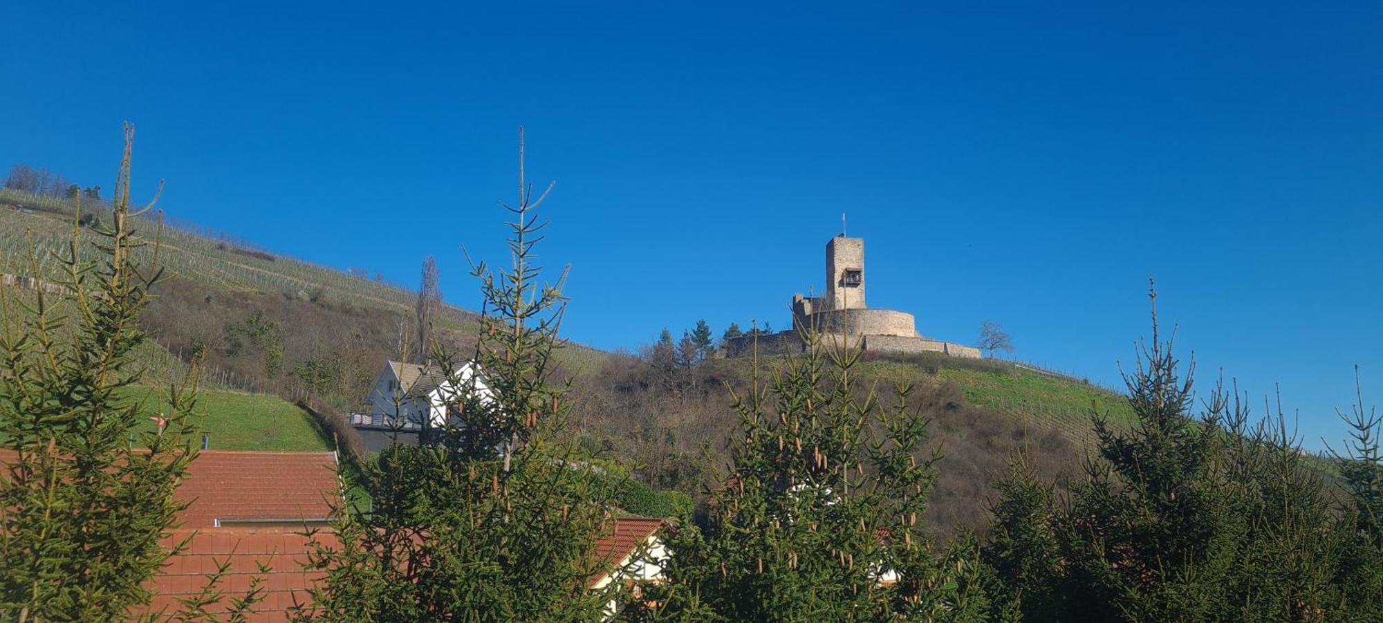 Gite Et Chambres D'Hotes Les Framboises Katzenthal ภายนอก รูปภาพ